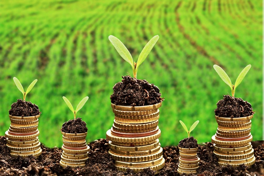 Sustainable Finance